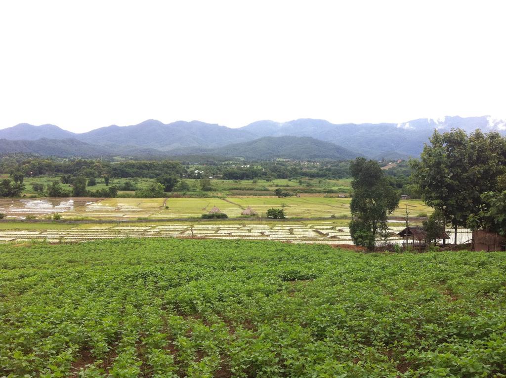 Готель Chang Pai Garden (Adults Only) Екстер'єр фото