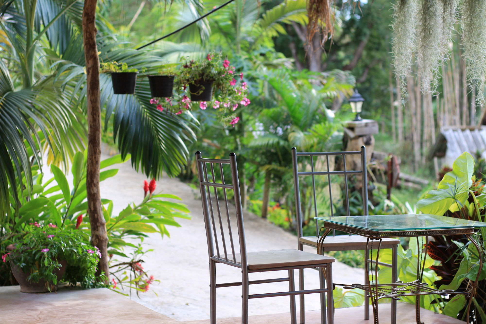 Chang Pai Garden (Adults Only) Екстер'єр фото